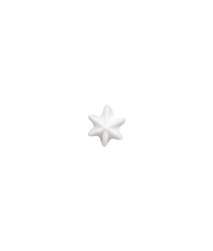 מראה זילוף של צנטר 841 - צנטר כוכב סגור